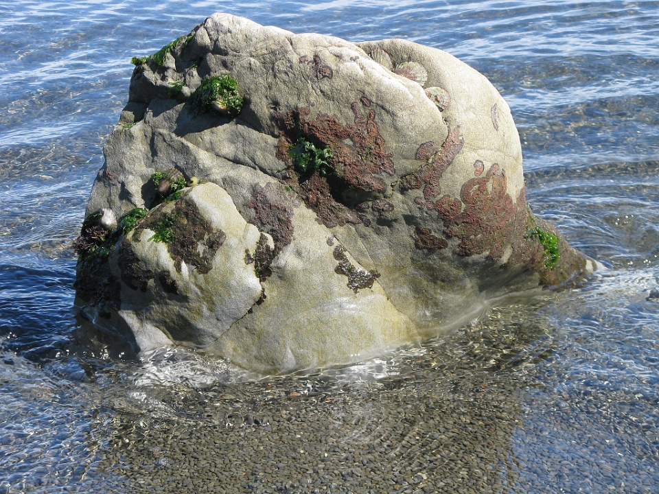 Stone in the Water